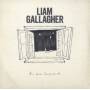 Liam Gallagher - All You're Dreaming Of