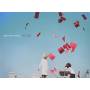 Bolbbalgan4 - Half Album (red Ickle)