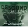Martin Haselbck / Orchester Wiener Akademie - Resound Beethoven Vol.8-Sinfonien 5 & 6