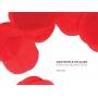 Alarm / Mike Peters - Poppies Falling From The Sky: The Film [US-Version, Regio 1/A]