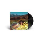 Brittany Howard - What Now (1LP)