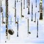 Clarinet Ensemble - Nubilaria