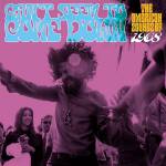 Various Artists - Can't Seem to Come Down: The American Sounds of 19