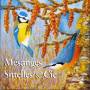 Sons De La Nature - Tits, Nuthatches & Company