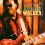 Joe Louis Walker - New Direction