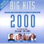 Various - BIG HITS 2000