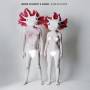 Irmin Schmidt & Kumo - Axolotl Eyes