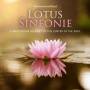 Weckenmann / Breed - Lotus Sinfonie