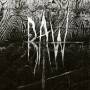 Raw - From The First Glass To The Grave