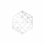 Ricardo Donoso - Symmetry (box Set)