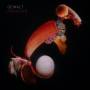 Gewalt - Paradies Box Set(2LP+Book)