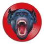 Puscifer - V Is For Viagra: Remixes (double Picture Disc / Clear Plastic Sleeve) (rsd)