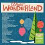 Various - Winter Wonderland