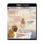 Life Of Pi - Life Of Pi [US-Version, Regio 1]