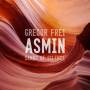 Asmin / Frei / Wehrli / Gisler / Ujak / Parattte - Sands Of Silence