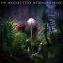 Emil Brandqvist Trio - Entering The Woods (ltd/180gr/Black Vinyl)