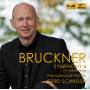 G. Schaller / Philharmonie Festiva - Sinfonie 4 mit Volksfest-Finale