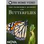 Nova - Nova: Incredible Journey Of The Butterflies [US-Version, Regio 1]
