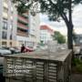Lukas Meister - Schneeflocken Im Sommer