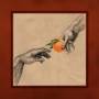 My Ugly Clementine - Vitamin C