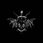 Ultra Silvam - The Spearwound Salvation