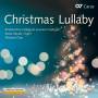 Culo / Collegium Iuvenum Stuttgart / Varadi / Wilson / + - Christmas Lullaby