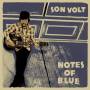 Son Volt - Notes of Blue