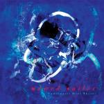 Unwed Sailor - Underwater over there