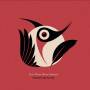 Wendy McNeill - First There Were Feathers