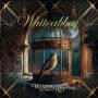 Whiteabbey - Words that form the key
