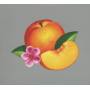 Phoenix - Bankrupt!