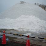 Jing - Artificial Salvation