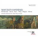 Ensemble Risonanze Erranti / Peter Tilling - Near Death Experience