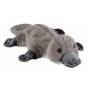 Greenlife Value Gmbh - Platypus animal chaud