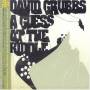 David Grubbs - Guess At Riddle