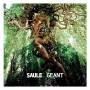 Saule - Geant