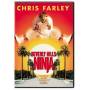 Beverly Hills Ninja / (ws) - Beverly Hills Ninja [US-Version, Regio 1]