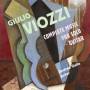 Andrea Gallo - Viozzi:Complete Music For Solo Guitar