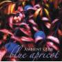 Ambient Club - Blue Apricot