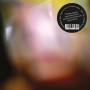 Twinkle3 Feat. David Sylvian & Kazuko Hohki - Upon This Fleeting Dream (LP)