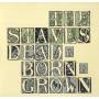 The Staves - Dead & Born&Grown(10th Anniversary Recycled Vinyl)