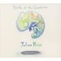 Julian Kleiss - Birth Of The Chameleon