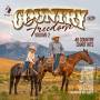 Various - Country Freedom Vol. 2