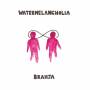 Brahja - Watermelancholia (LP)