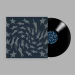 Toro Y Moi - HOLE ERTH (Black Bio Vinyl)