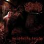 Suicidal Causticity - The Spiritual Decline
