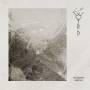 Gaahls Wyrd - The Humming Mountain (lim.black 10' Vinyl)