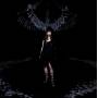 Yosei Teikoku - Schwarzer Sarg