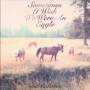 Bill Callahan - Sometimes I Wish We Were An Eagle