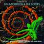 Various - A Tribute To Jim Morrison & The Doors
